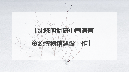 沈晓明调研中国语言资源博物馆建设工作