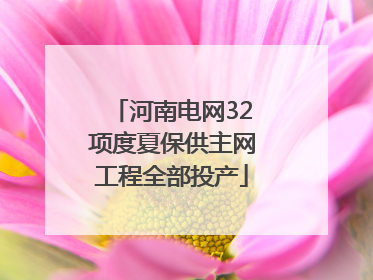 河南电网32项度夏保供主网工程全部投产