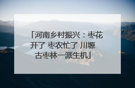 河南乡村振兴：枣花开了 枣农忙了 川塬古枣林一派生机