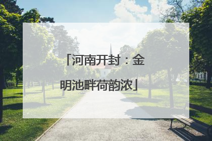 河南开封：金明池畔荷韵浓