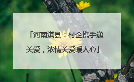 河南淇县：村企携手递关爱，浓情关爱暖人心