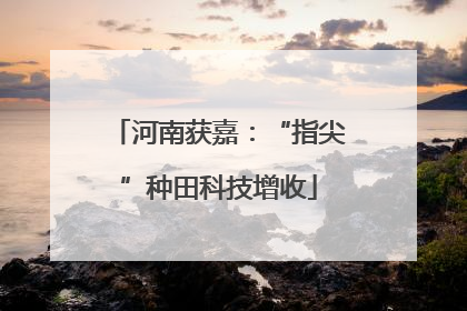 河南获嘉：“指尖”种田科技增收