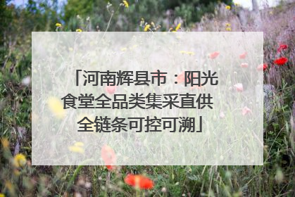 河南辉县市：阳光食堂全品类集采直供 全链条可控可溯
