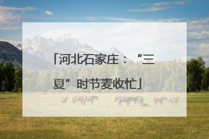 河北石家庄：“三夏”时节麦收忙