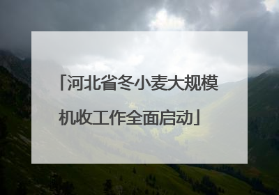河北省冬小麦大规模机收工作全面启动