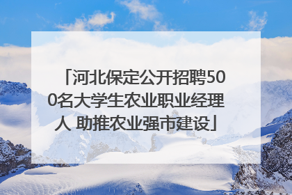 河北保定公开招聘500名大学生农业职业经理人 助推农业强市建设