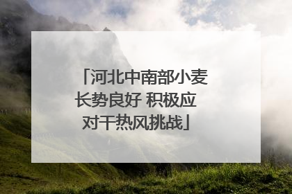 河北中南部小麦长势良好 积极应对干热风挑战