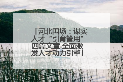 河北围场：谋实人才“引育管用”四篇文章 全面激发人才动力引擎