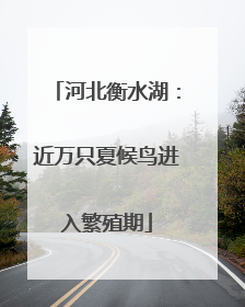 河北衡水湖：近万只夏候鸟进入繁殖期