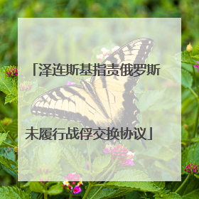 泽连斯基指责俄罗斯未履行战俘交换协议