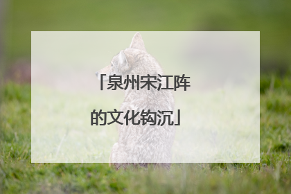 泉州宋江阵的文化钩沉