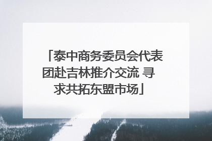 泰中商务委员会代表团赴吉林推介交流 寻求共拓东盟市场