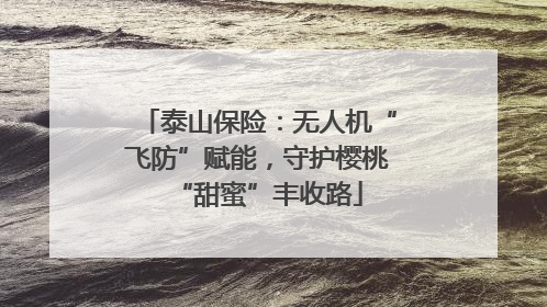 泰山保险：无人机“飞防”赋能，守护樱桃“甜蜜”丰收路