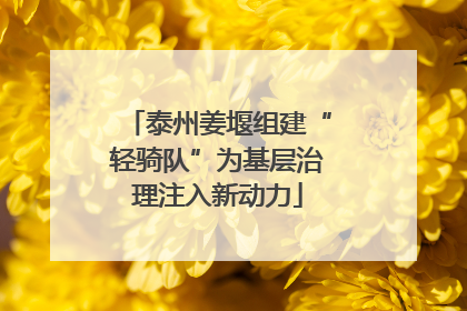 泰州姜堰组建“轻骑队”为基层治理注入新动力