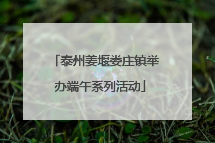 泰州姜堰娄庄镇举办端午系列活动