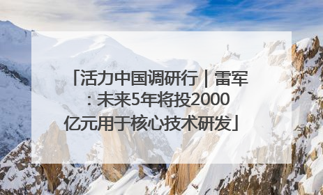 活力中国调研行｜雷军：未来5年将投2000亿元用于核心技术研发