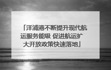 洋浦港不断提升现代航运服务能级 促进航运扩大开放政策快速落地
