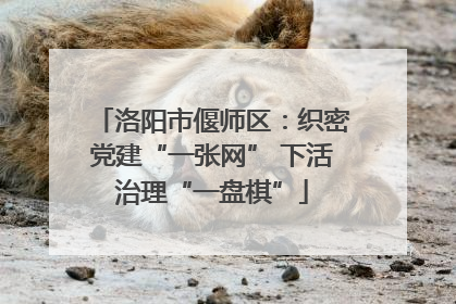 洛阳市偃师区：织密党建“一张网” 下活治理“一盘棋”