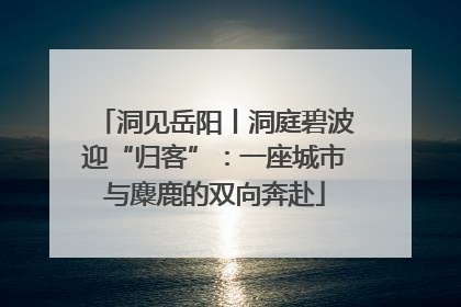 洞见岳阳丨洞庭碧波迎“归客”：一座城市与麋鹿的双向奔赴