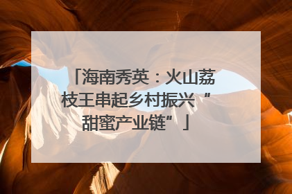 海南秀英：火山荔枝王串起乡村振兴“甜蜜产业链”