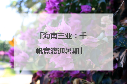 海南三亚：千帆竞渡迎暑期