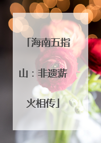海南五指山：非遗薪火相传