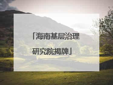 海南基层治理研究院揭牌