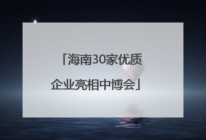海南30家优质企业亮相中博会