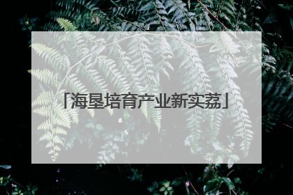 海垦培育产业新实荔