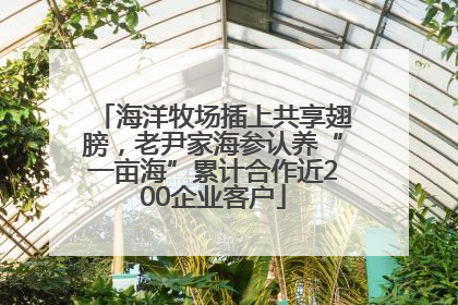 海洋牧场插上共享翅膀，老尹家海参认养“一亩海”累计合作近200企业客户
