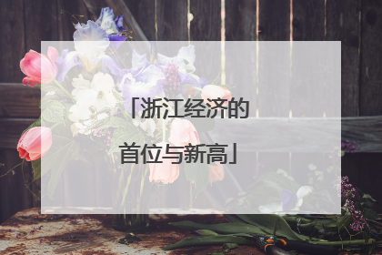 浙江经济的首位与新高