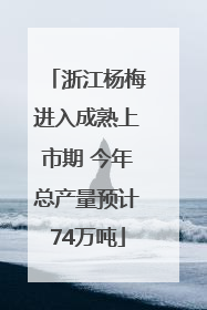 浙江杨梅进入成熟上市期 今年总产量预计74万吨