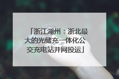 浙江湖州：浙北最大的光储充一体化公交充电站并网投运