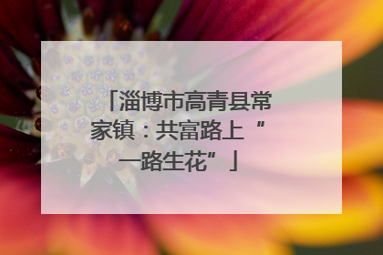 淄博市高青县常家镇：共富路上“一路生花”