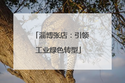 淄博张店：引领工业绿色转型