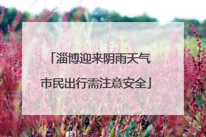 淄博迎来阴雨天气 市民出行需注意安全