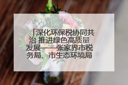 深化环保税协同共治 推进绿色高质量发展——张家界市税务局、市生态环境局签署合作备忘录