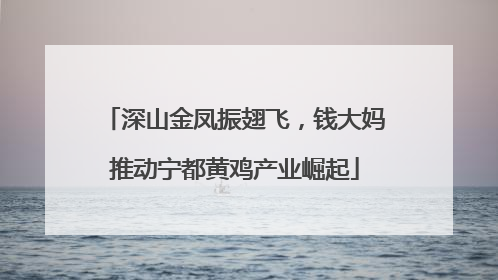 深山金凤振翅飞，钱大妈推动宁都黄鸡产业崛起