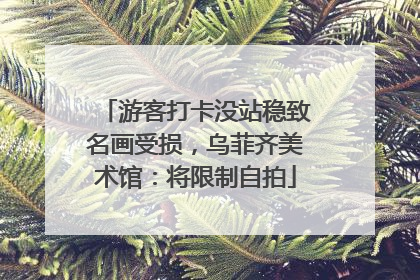 游客打卡没站稳致名画受损，乌菲齐美术馆：将限制自拍