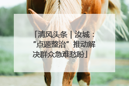 清风头条｜汝城：“点题整治”推动解决群众急难愁盼