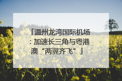 温州龙湾国际机场：加速长三角与粤港澳“两翼齐飞”