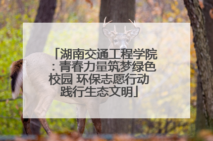 湖南交通工程学院：青春力量筑梦绿色校园 环保志愿行动践行生态文明