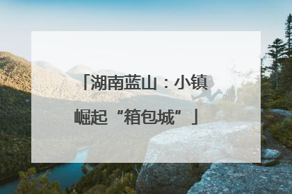 湖南蓝山：小镇崛起“箱包城”