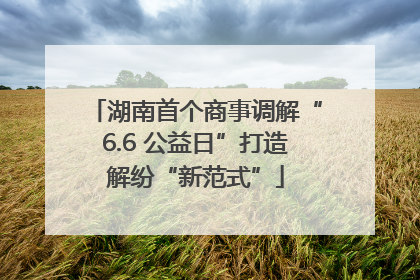 湖南首个商事调解“6.6 公益日”打造解纷“新范式”