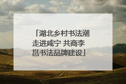 湖北乡村书法潮走进咸宁 共商李邕书法品牌建设