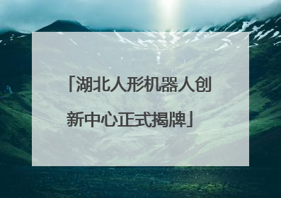 湖北人形机器人创新中心正式揭牌