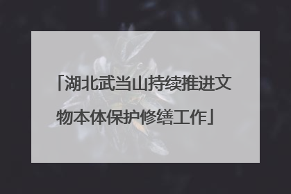湖北武当山持续推进文物本体保护修缮工作