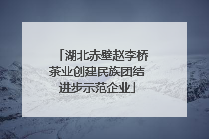 湖北赤壁赵李桥茶业创建民族团结进步示范企业