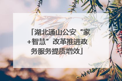 湖北通山公安“家+智慧”改革推进政务服务提质增效