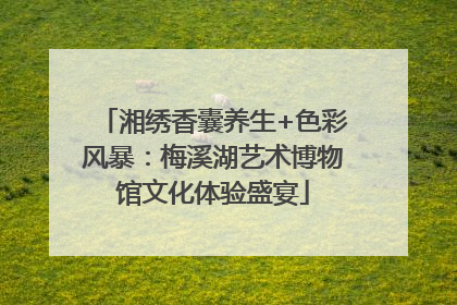 湘绣香囊养生+色彩风暴：梅溪湖艺术博物馆文化体验盛宴